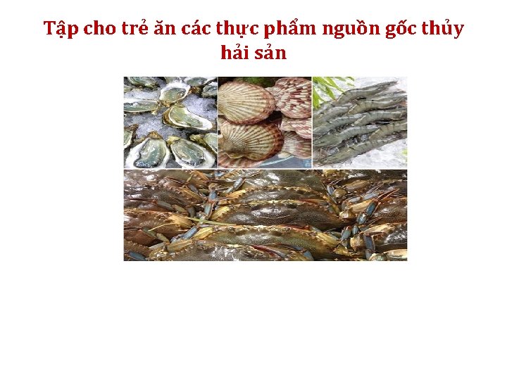 Tập cho trẻ ăn các thực phẩm nguồn gốc thủy hải sản 