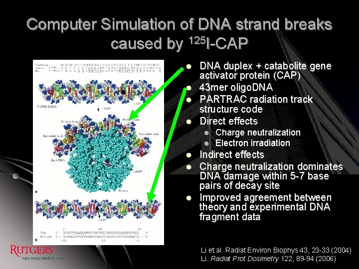 Computer Simulation of DNA strand breaks caused by 125 I-CAP l l DNA duplex