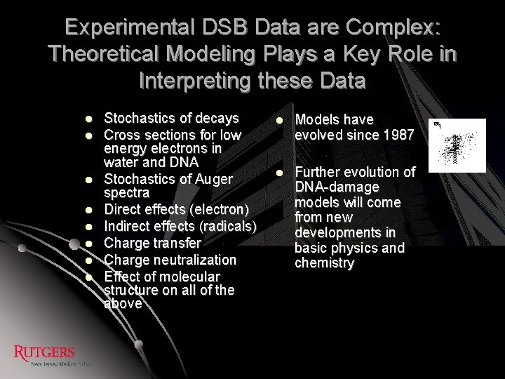 Experimental DSB Data are Complex: Theoretical Modeling Plays a Key Role in Interpreting these