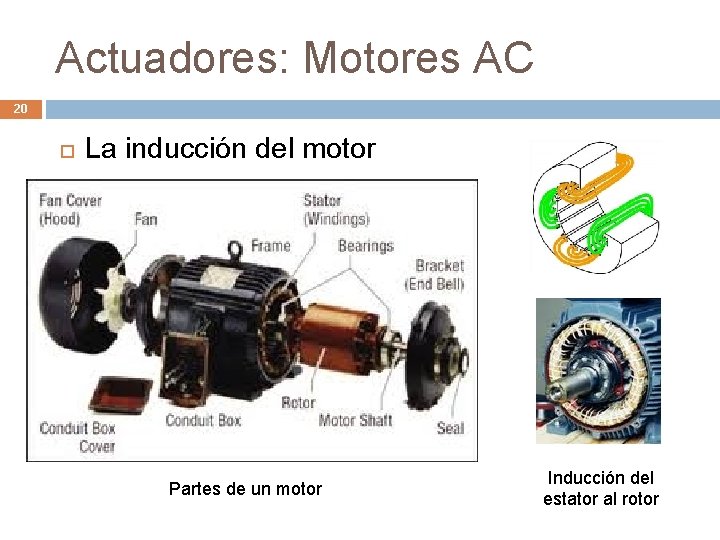 Actuadores: Motores AC 20 La inducción del motor Partes de un motor Inducción del