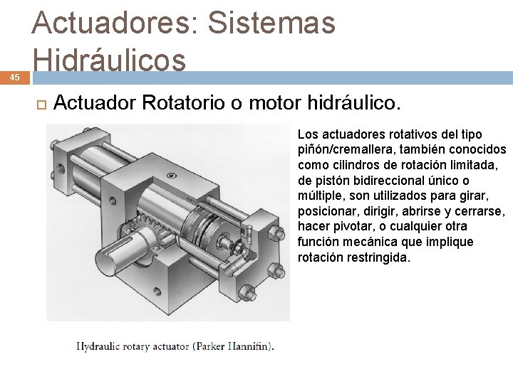 45 Actuadores: Sistemas Hidráulicos Actuador Rotatorio o motor hidráulico. Los actuadores rotativos del tipo