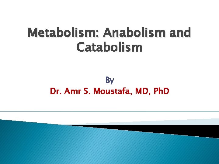 Metabolism: Anabolism and Catabolism By Dr. Amr S. Moustafa, MD, Ph. D 