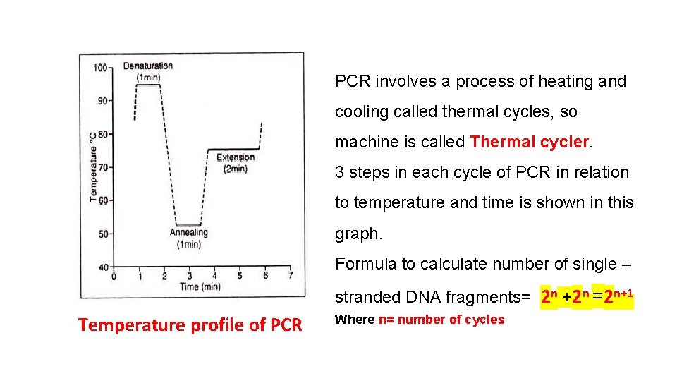 BASICS of PCR Subject Zoology Smt T SRI