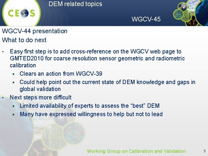 DEM related topics WGCV-45 WGCV-44 presentation What to do next • • Easy first