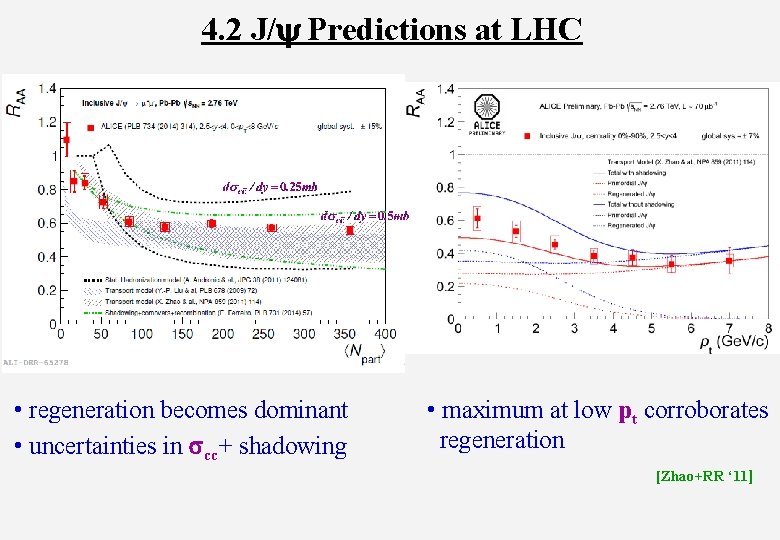 4. 2 J/y Predictions at LHC • regeneration becomes dominant • uncertainties in scc+