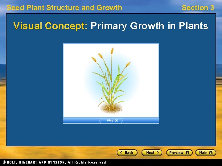 Seed Plant Structure and Growth Section 3 Visual Concept: Primary Growth in Plants Seed Plant Structure and Growth Section 3 Visual Concept: Primary Growth in Plants
