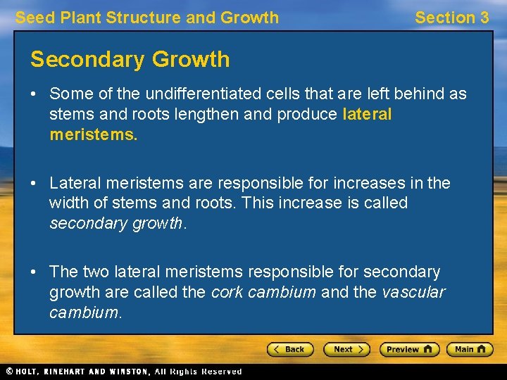 Seed Plant Structure and Growth Section 3 Secondary Growth • Some of the undifferentiated