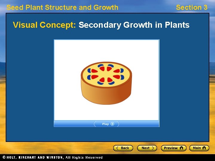 Seed Plant Structure and Growth Section 3 Visual Concept: Secondary Growth in Plants Seed Plant Structure and Growth Section 3 Visual Concept: Secondary Growth in Plants