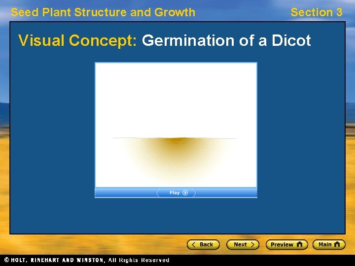 Seed Plant Structure and Growth Section 3 Visual Concept: Germination of a Dicot 