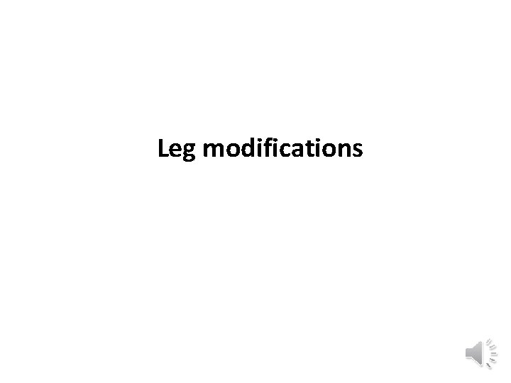 Leg modifications 