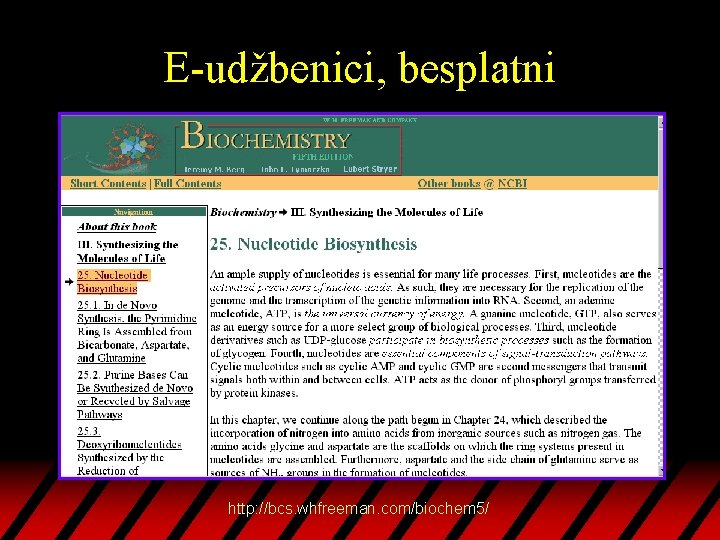 E-udžbenici, besplatni http: //bcs. whfreeman. com/biochem 5/ 