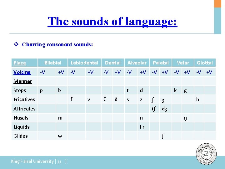 The sounds of language: v Charting consonant sounds: Place Voicing Bilabial -V +V p