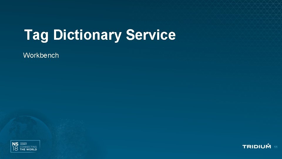 Tag Dictionary Service Workbench 11 