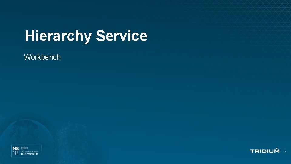 Hierarchy Service Workbench 14 