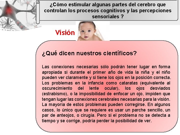 ¿Cómo estimular algunas partes del cerebro que controlan los procesos cognitivos y las percepciones