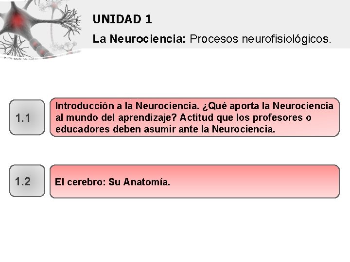 UNIDAD 1 La Neurociencia: Procesos neurofisiológicos. 1. 1 Introducción a la Neurociencia. ¿Qué aporta