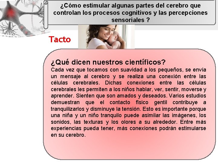 ¿Cómo estimular algunas partes del cerebro que controlan los procesos cognitivos y las percepciones