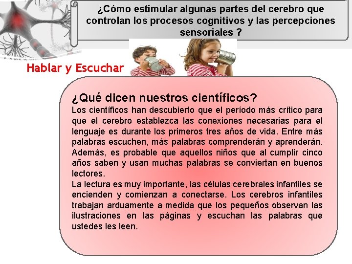 ¿Cómo estimular algunas partes del cerebro que controlan los procesos cognitivos y las percepciones