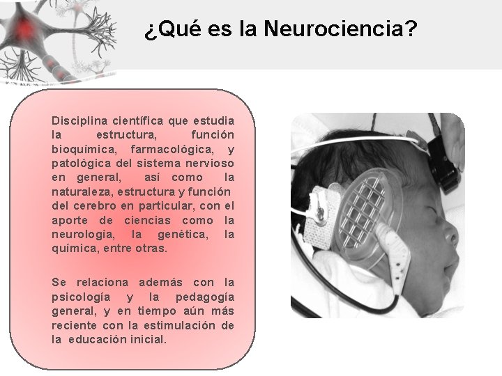 ¿Qué es la Neurociencia? Disciplina científica que estudia la estructura, función bioquímica, farmacológica, y