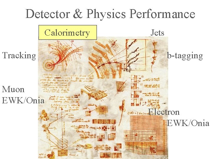 Detector & Physics Performance Calorimetry Tracking Jets b-tagging Muon EWK/Onia Electron EWK/Onia 