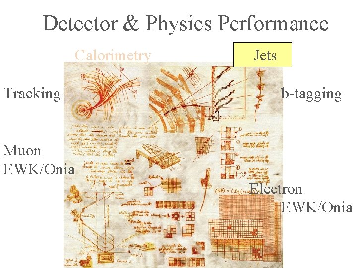 Detector & Physics Performance Calorimetry Tracking Jets b-tagging Muon EWK/Onia Electron EWK/Onia 