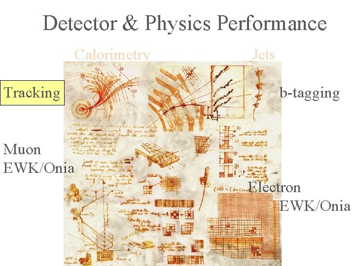 Detector & Physics Performance Calorimetry Tracking Jets b-tagging Muon EWK/Onia Electron EWK/Onia 