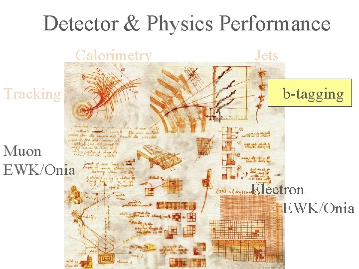 Detector & Physics Performance Calorimetry Tracking Jets b-tagging Muon EWK/Onia Electron EWK/Onia 