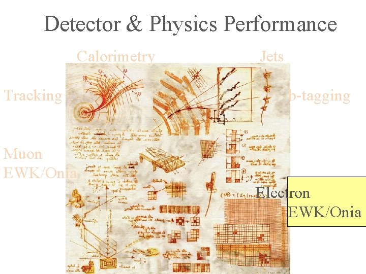 Detector & Physics Performance Calorimetry Tracking Jets b-tagging Muon EWK/Onia Electron EWK/Onia 