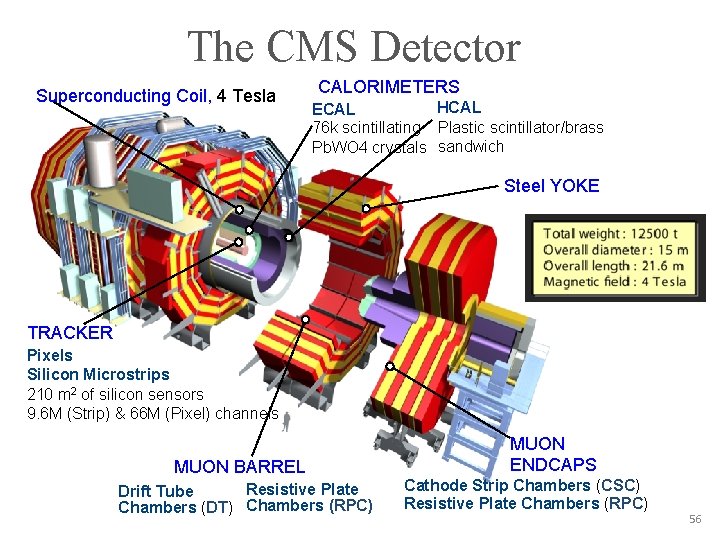 The CMS Detector Superconducting Coil, 4 Tesla CALORIMETERS HCAL ECAL 76 k scintillating Plastic