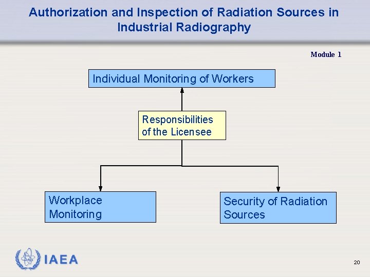 Authorization and Inspection of Radiation Sources in Industrial Radiography Module 1 Individual Monitoring of