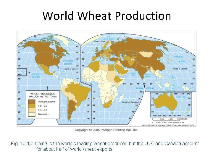 World Wheat Production Fig. 10 -10: China is the world’s leading wheat producer, but