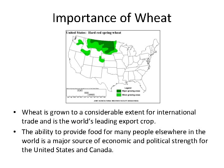 Importance of Wheat • Wheat is grown to a considerable extent for international trade