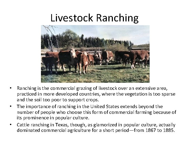 Livestock Ranching • Ranching is the commercial grazing of livestock over an extensive area,
