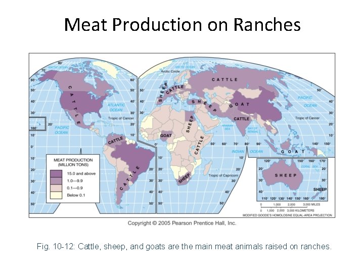 Meat Production on Ranches Fig. 10 -12: Cattle, sheep, and goats are the main