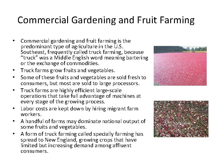 Commercial Gardening and Fruit Farming • Commercial gardening and fruit farming is the predominant