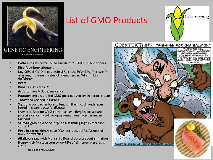 List of GMO Products • • • • Cotton-resists pests, led to suicide of