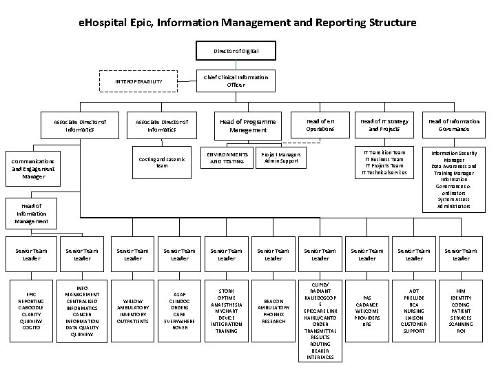 e. Hospital Epic, Information Management and Reporting Structure Director of Digital Chief Clinical Information