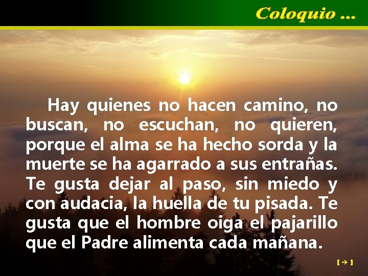 Hay quienes no hacen camino, no buscan, no escuchan, no quieren, porque el alma