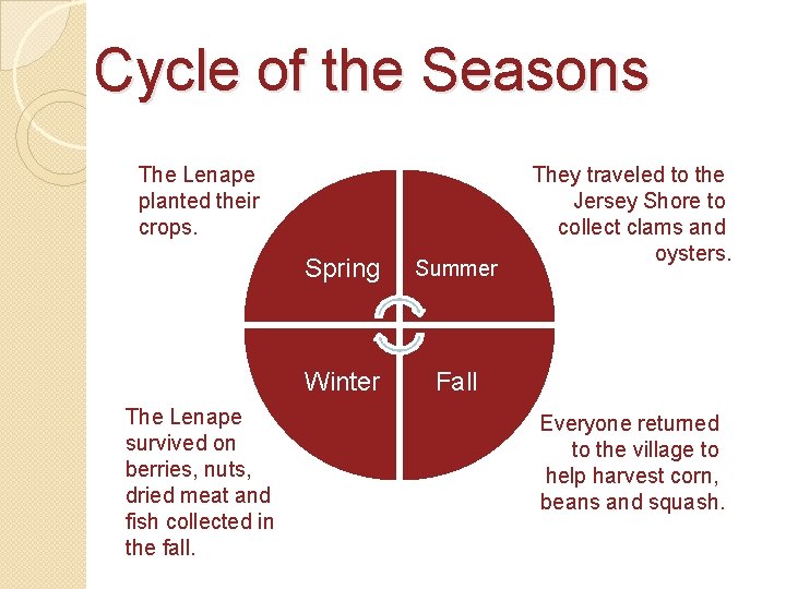 Cycle of the Seasons The Lenape planted their crops. The Lenape survived on berries,