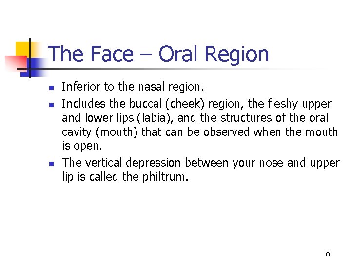 The Face – Oral Region n Inferior to the nasal region. Includes the buccal