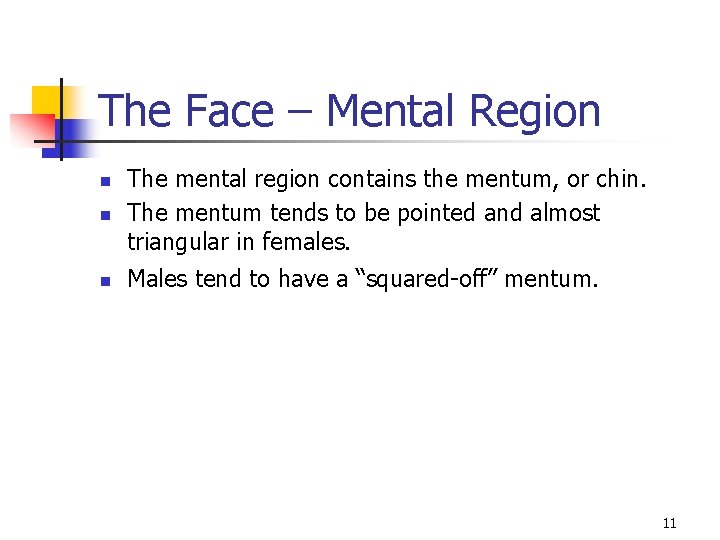 The Face – Mental Region n The mental region contains the mentum, or chin.
