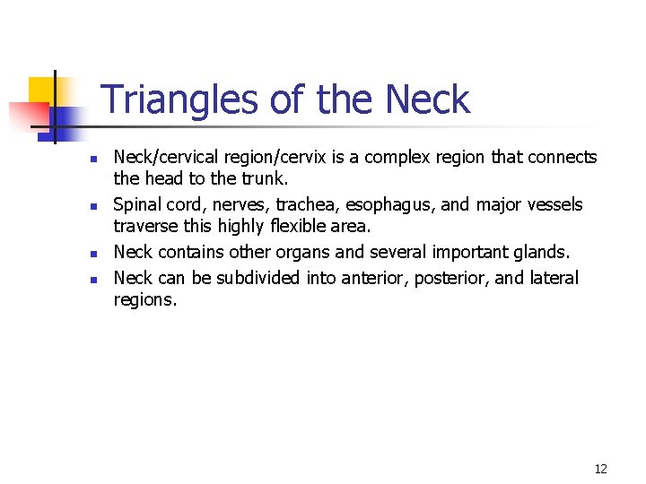 Triangles of the Neck n n Neck/cervical region/cervix is a complex region that connects