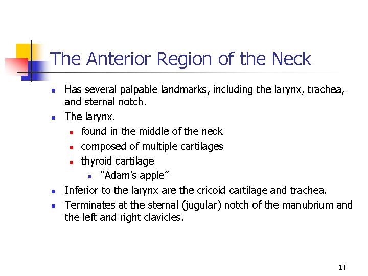 The Anterior Region of the Neck n n Has several palpable landmarks, including the