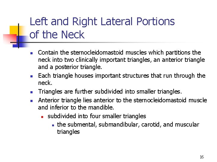 Left and Right Lateral Portions of the Neck n n Contain the sternocleidomastoid muscles