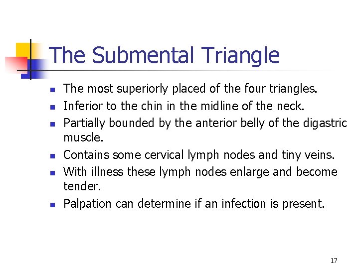 The Submental Triangle n n n The most superiorly placed of the four triangles.