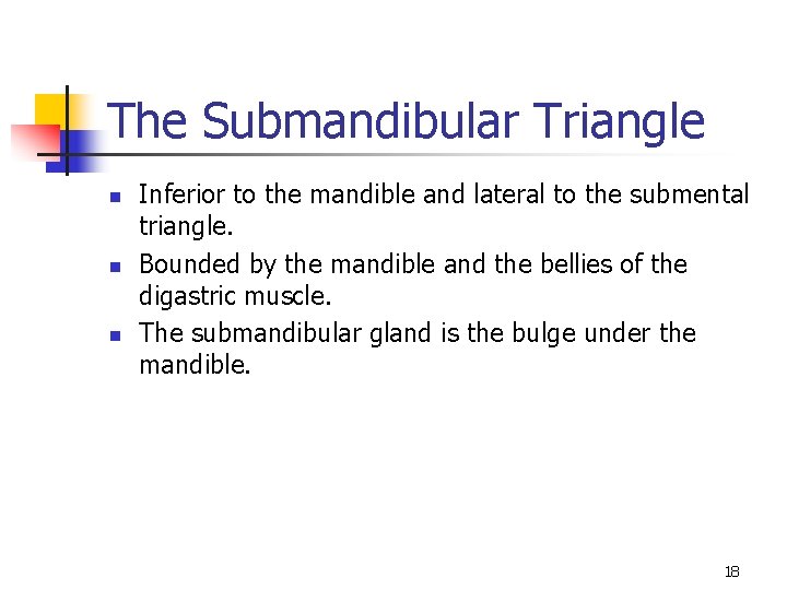 The Submandibular Triangle n n n Inferior to the mandible and lateral to the