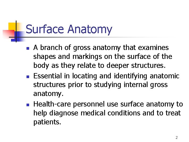 Surface Anatomy n n n A branch of gross anatomy that examines shapes and