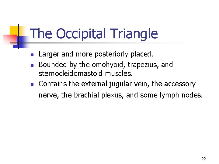 The Occipital Triangle n n n Larger and more posteriorly placed. Bounded by the