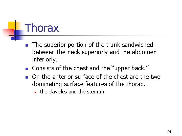 Thorax n n n The superior portion of the trunk sandwiched between the neck