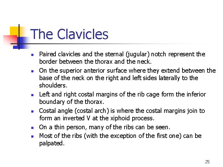 The Clavicles n n n Paired clavicles and the sternal (jugular) notch represent the